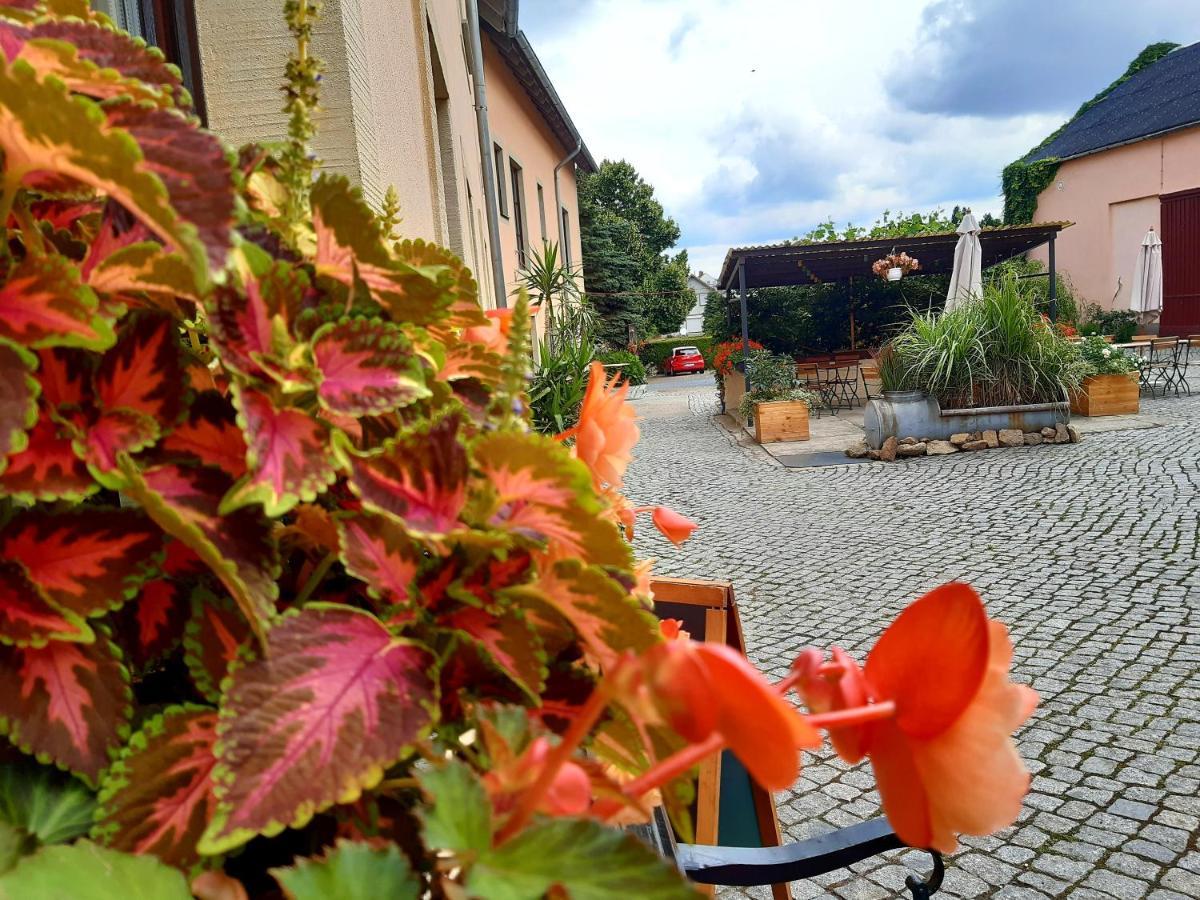 Hotel "Pension Marlis" Garni Reichenberg  Екстериор снимка