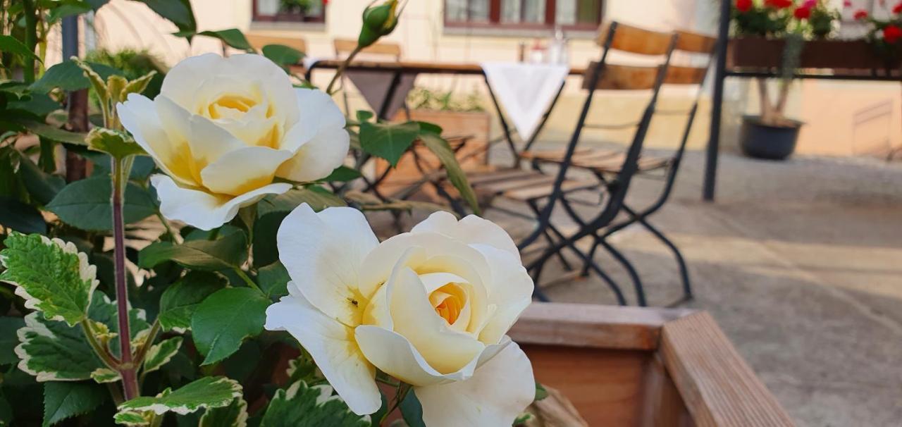 Hotel "Pension Marlis" Garni Reichenberg  Екстериор снимка