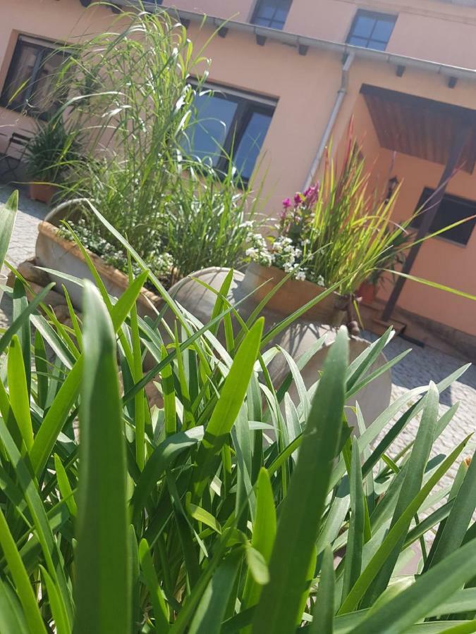 Hotel "Pension Marlis" Garni Reichenberg  Екстериор снимка